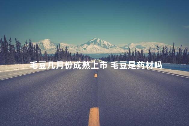 毛豆几月份成熟上市 毛豆是药材吗